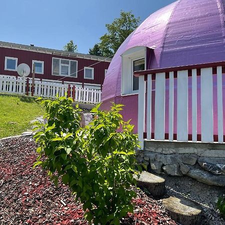 Dirndlhaus Leilighet Kirchberg an der Pielach Eksteriør bilde
