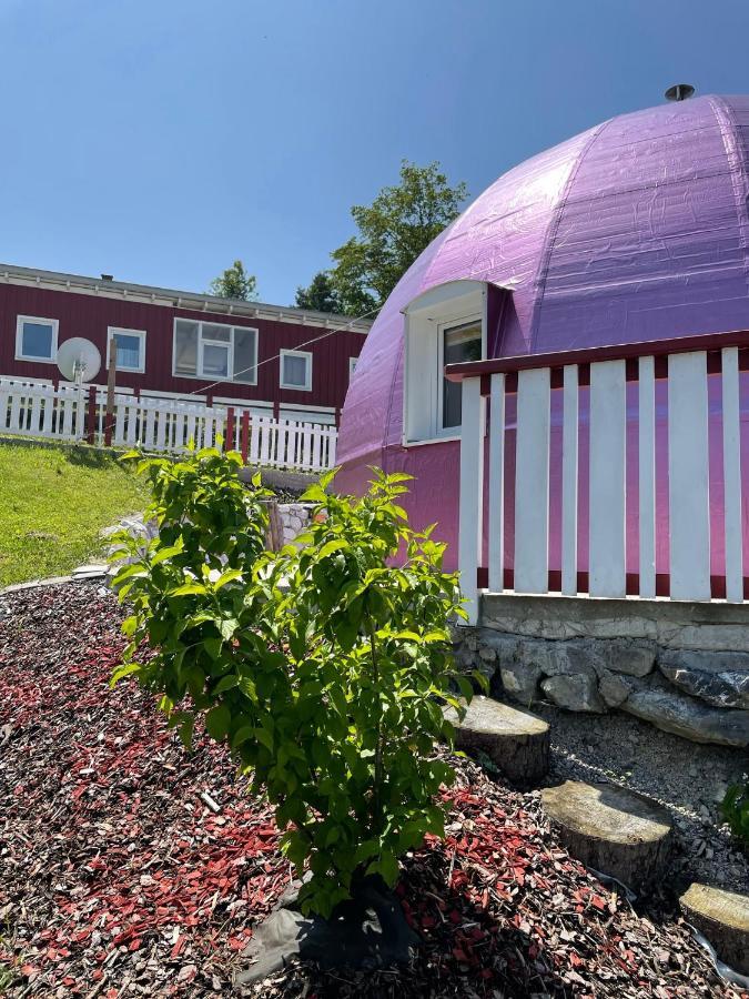 Dirndlhaus Leilighet Kirchberg an der Pielach Eksteriør bilde